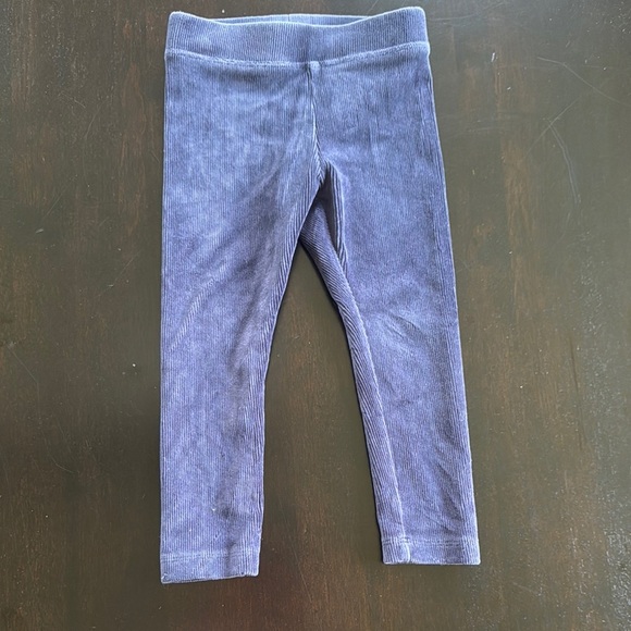 Crewcuts Blue Stretchy Leggings with Velvet Sheen - Picture 1 of 2